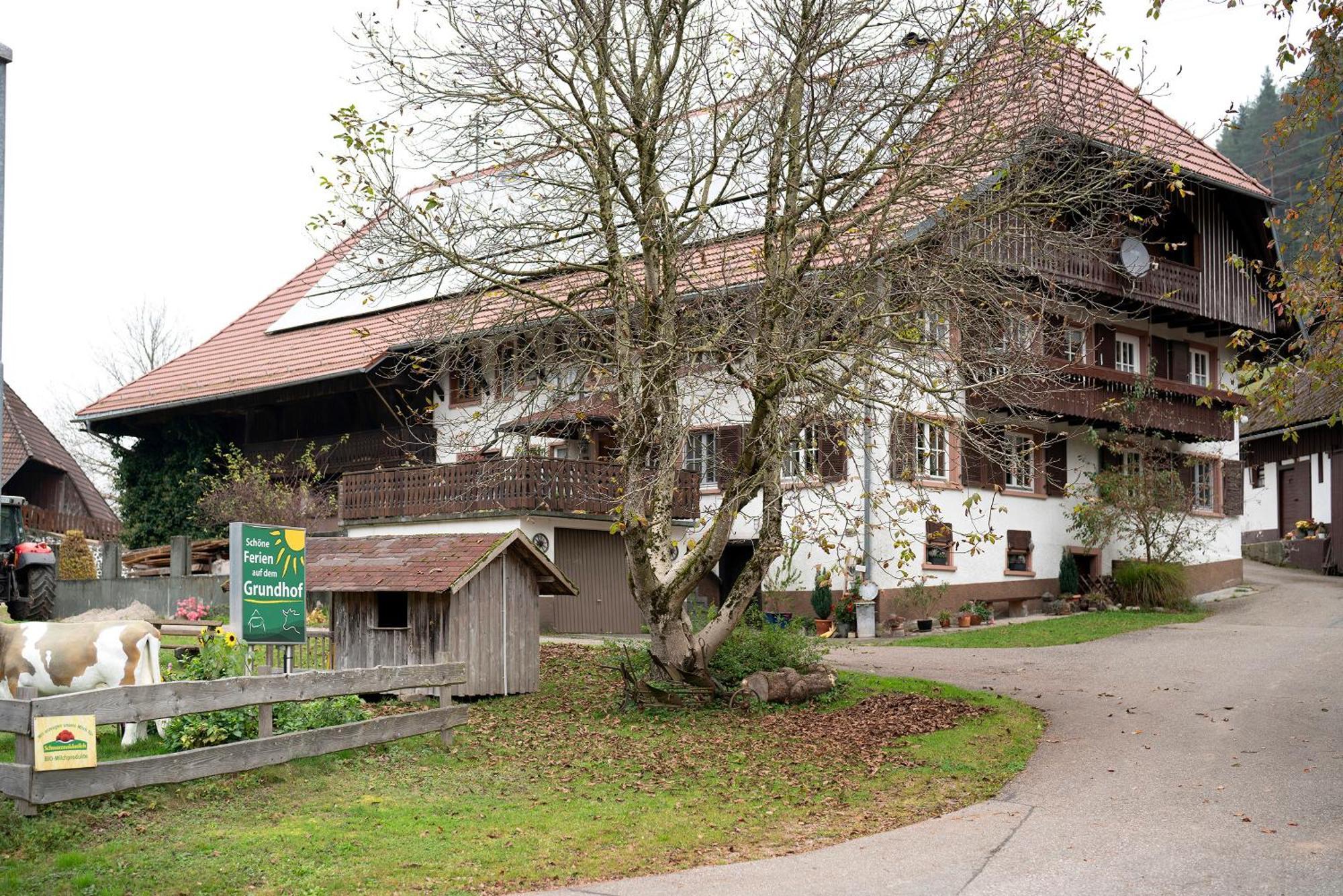 Grundhof Villa Oberprechtal Exterior photo